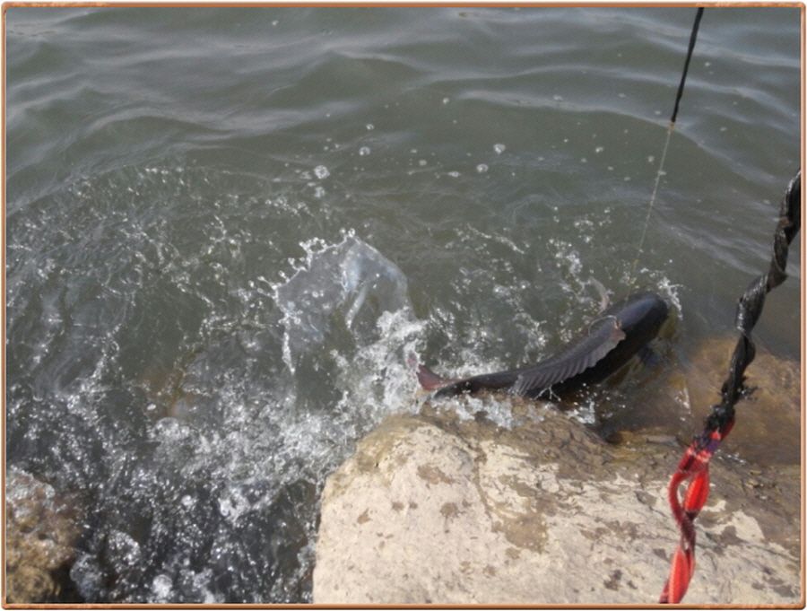 �ٹ̱�_�ٹ̱�_���� 006.jpg