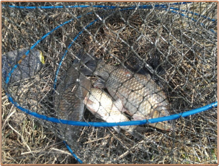 �ٹ̱�_�ٹ̱�_���� 013.jpg