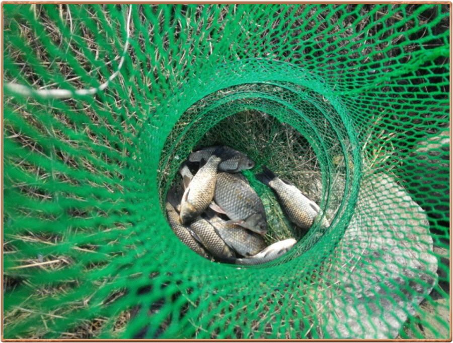 �ٹ̱�_�ٹ̱�_���� 016.jpg