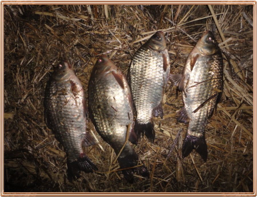 �ٹ̱�_�ٹ̱�_���� 028.jpg