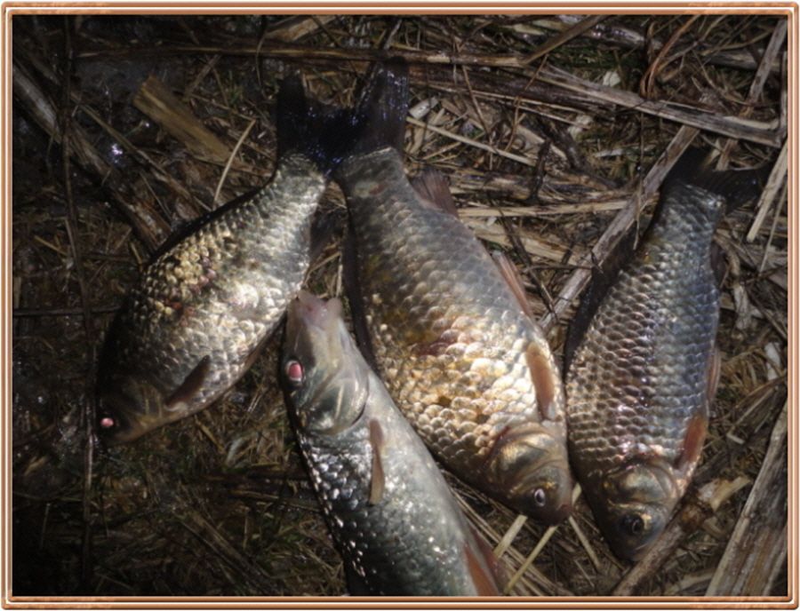 �ٹ̱�_�ٹ̱�_���� 033.jpg