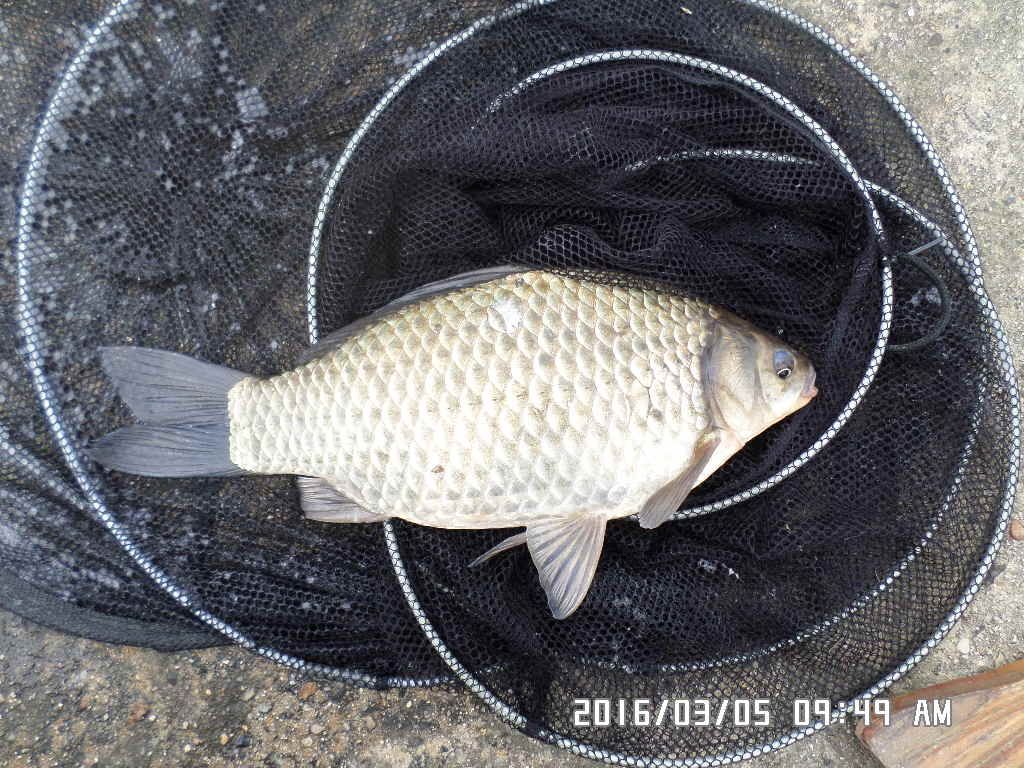SAM_2761.JPG