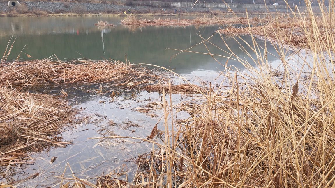 20160306_090511.jpg