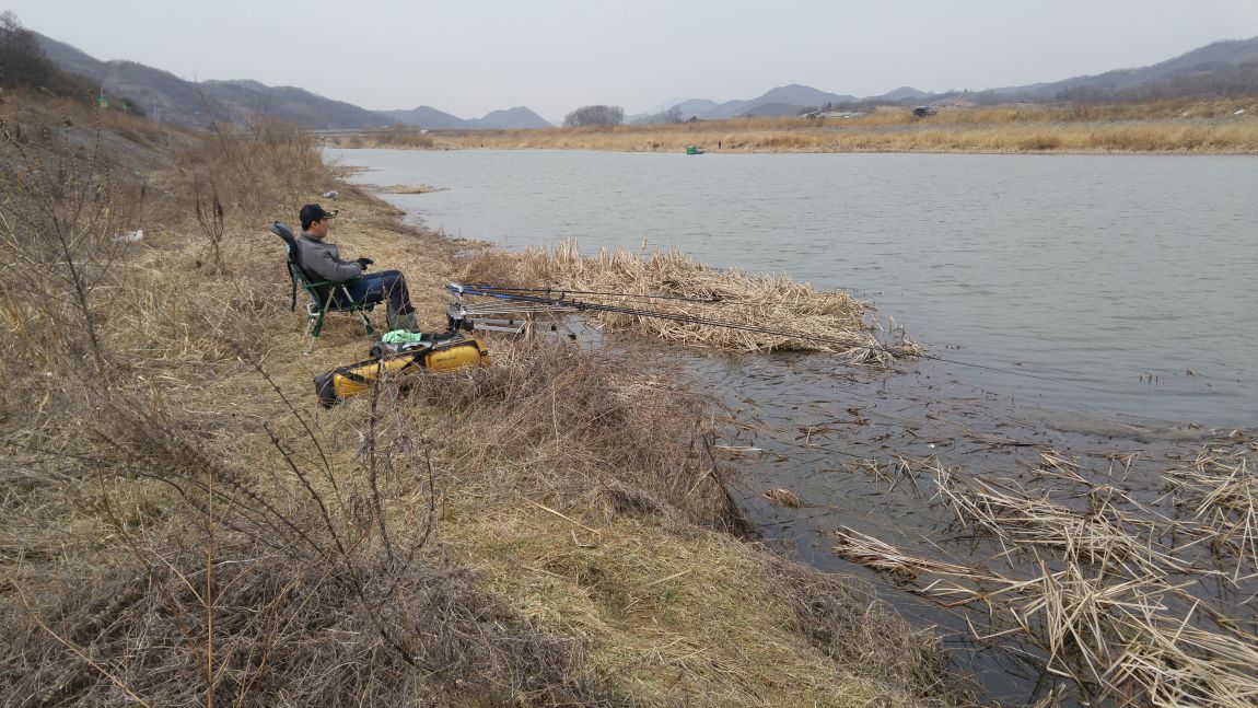 20160308_124457.jpg