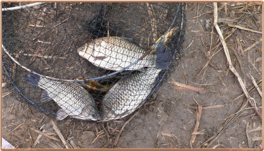 �ٹ̱�_���� 005.jpg