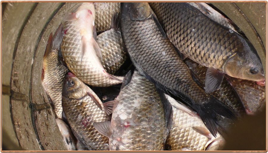 �ٹ̱�_���� 010.jpg