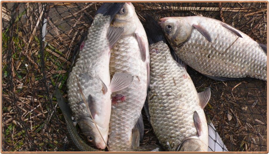 �ٹ̱�_���� 014.jpg