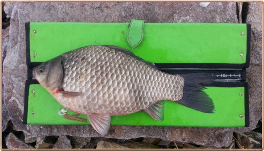 �ٹ̱�_���� 015.jpg