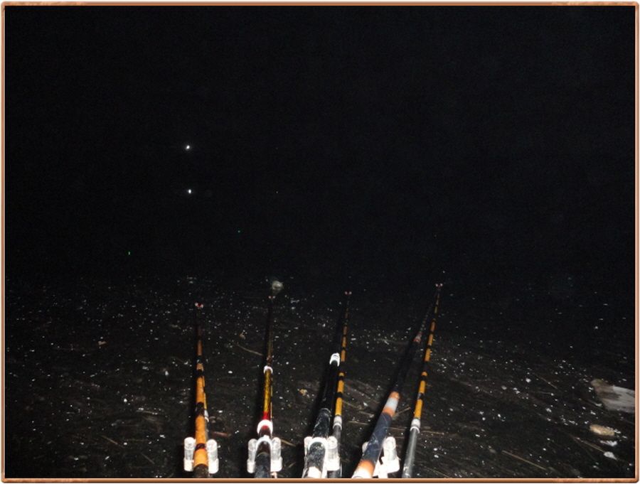 �ٹ̱�_���� 027.jpg