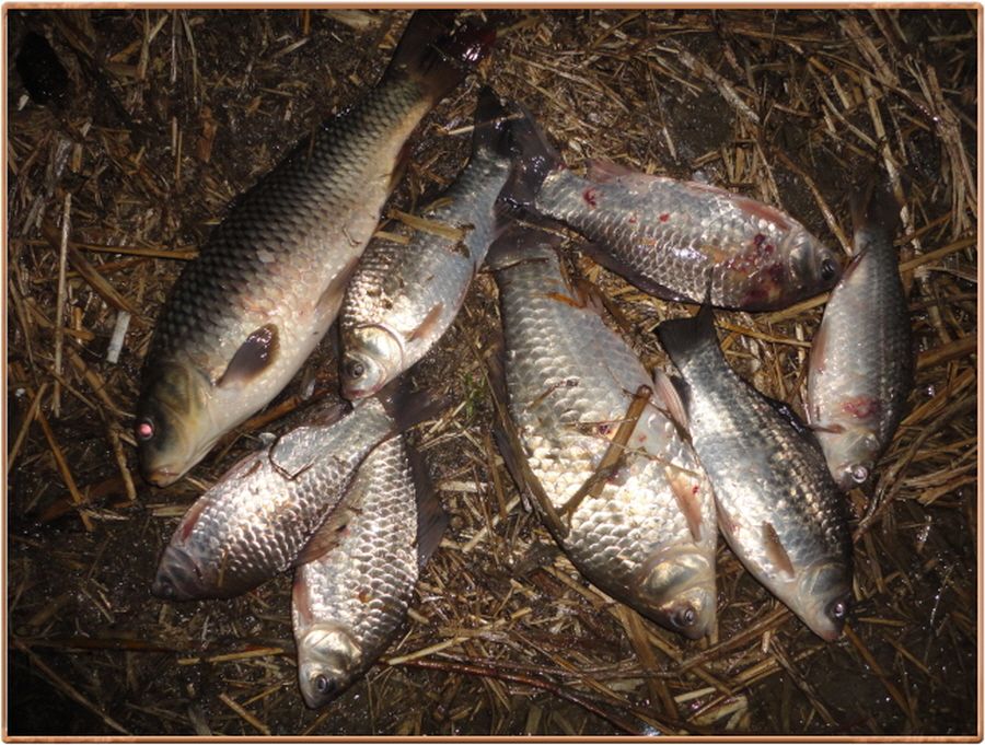 �ٹ̱�_���� 029.jpg