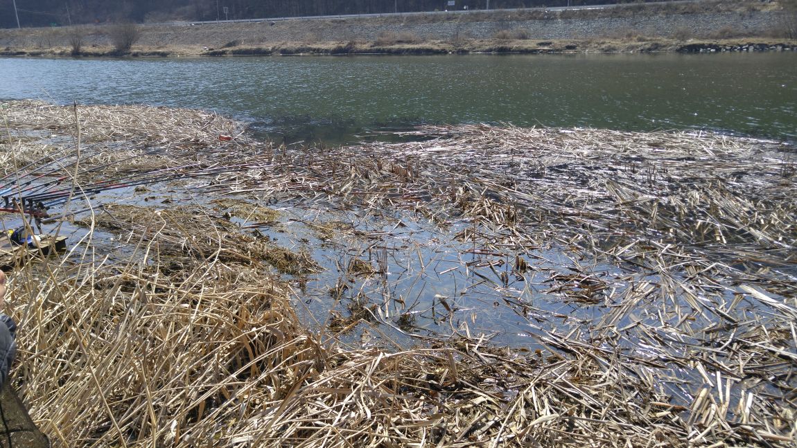 20160315_123542.jpg