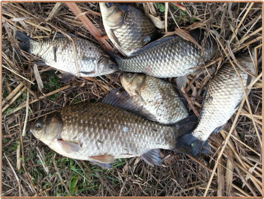 �ٹ̱�_�ٹ̱�_���� 004.jpg