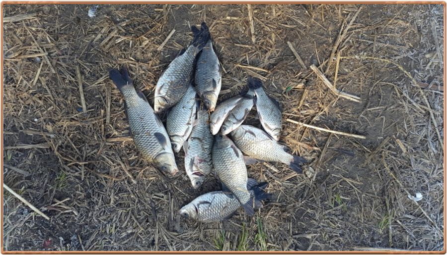 �ٹ̱�_�ٹ̱�_���� 001.jpg