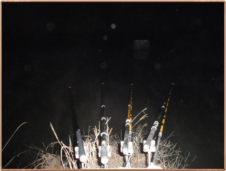 �ٹ̱�_�ٹ̱�_���� 012.jpg