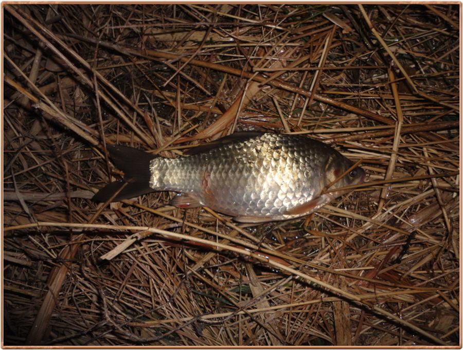 �ٹ̱�_�ٹ̱�_���� 015.jpg