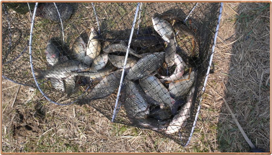 �ٹ̱�_�ٹ̱�_���� 016.jpg