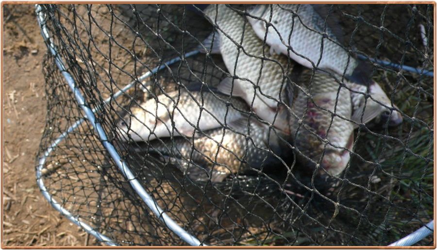 �ٹ̱�_�ٹ̱�_���� 020.jpg