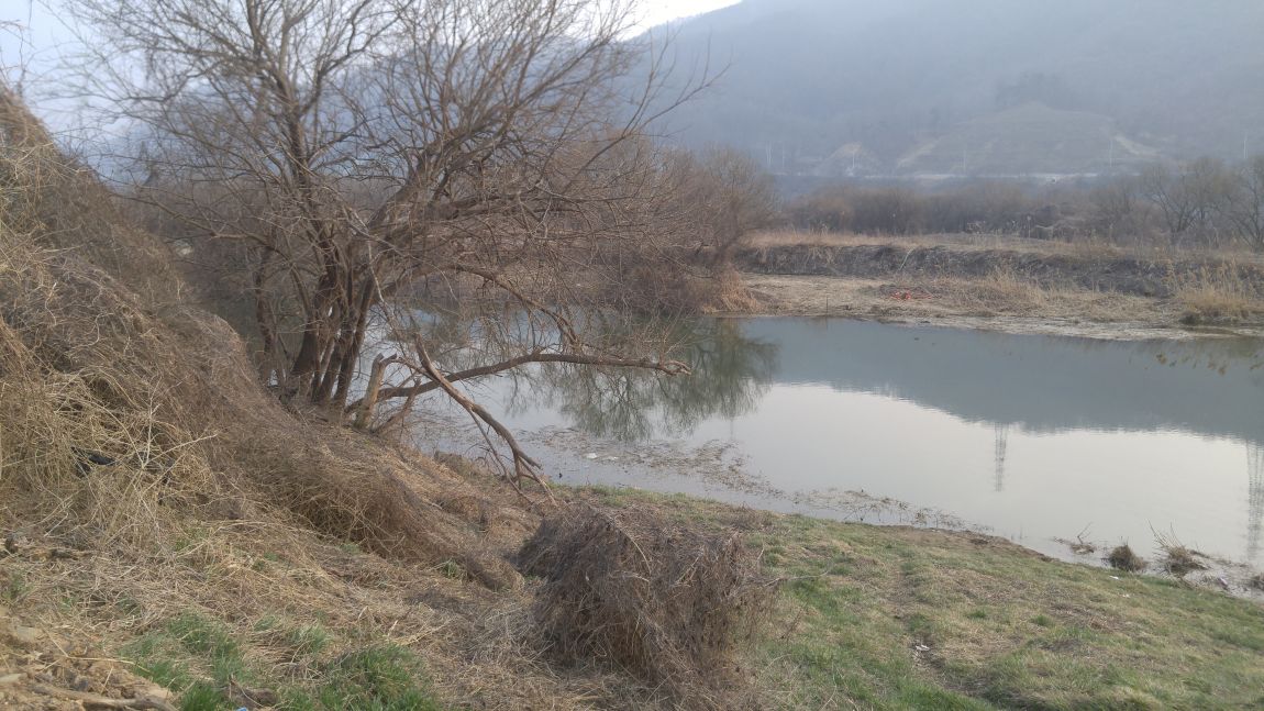 20160319_171330.jpg