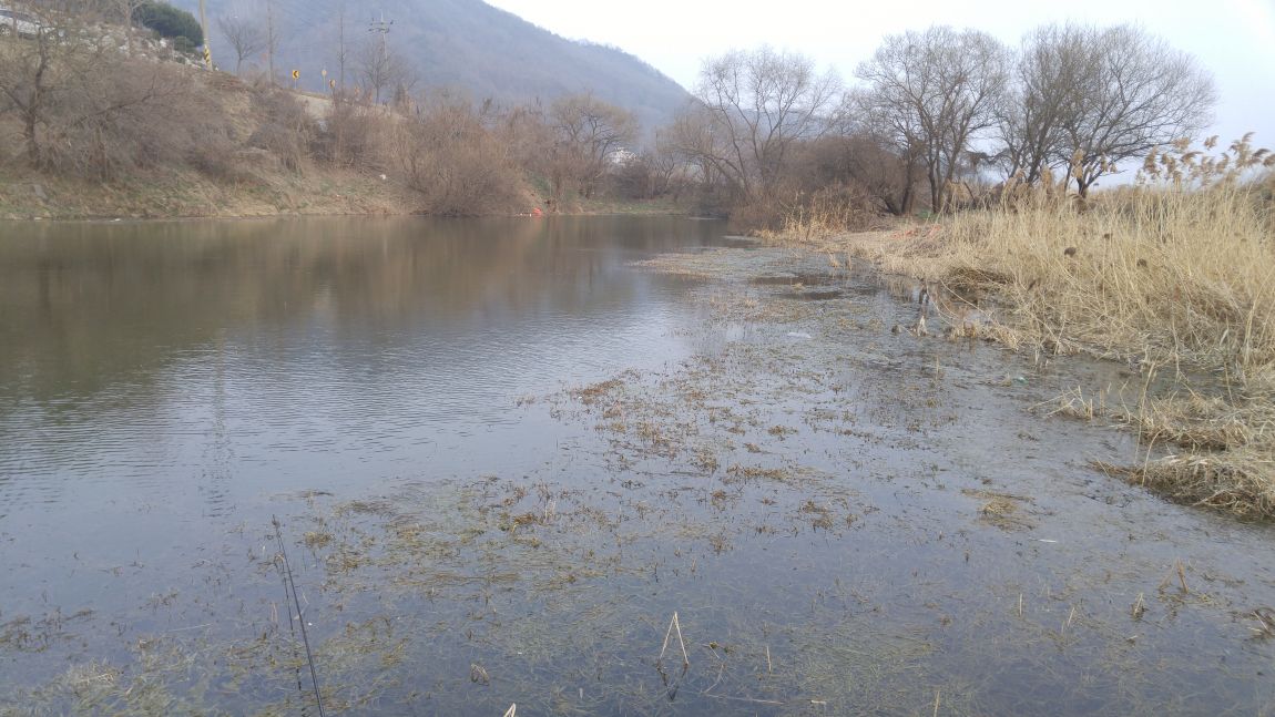 20160319_175304.jpg