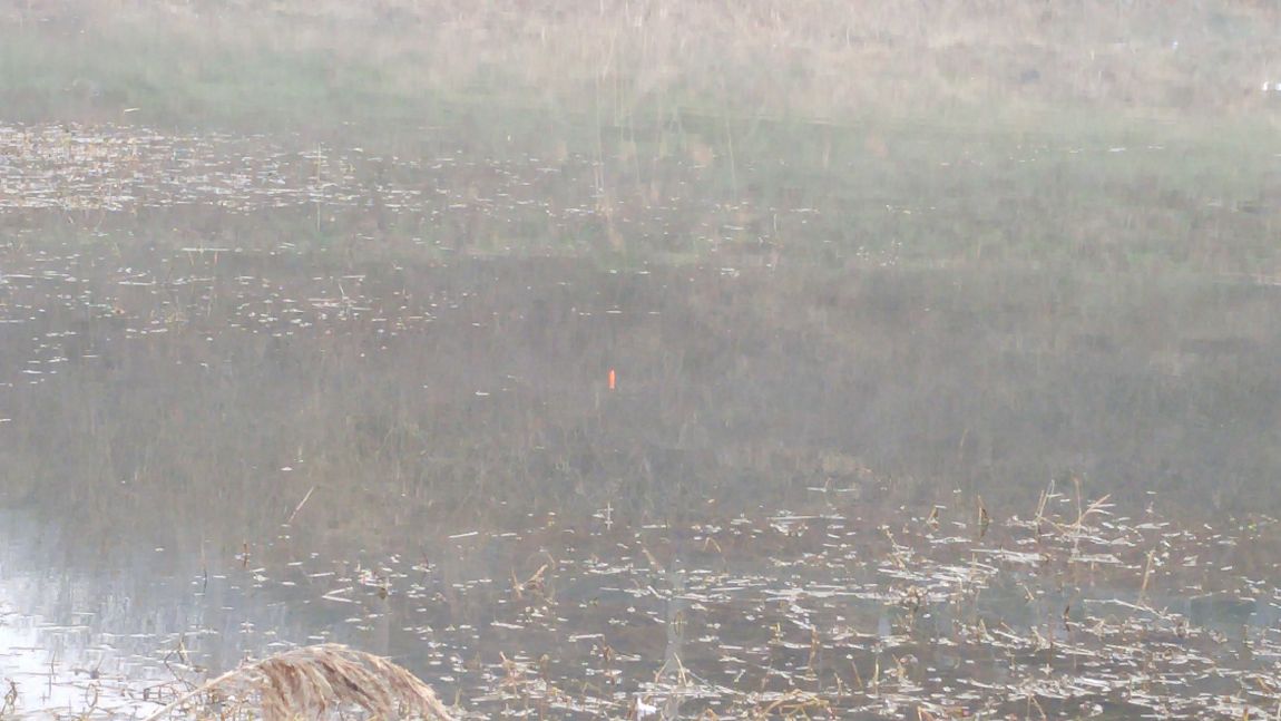 20160320_073016.jpg