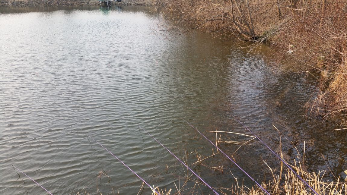 20160322_170630.jpg