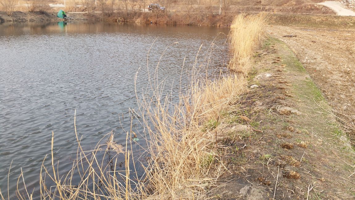 20160322_173324.jpg