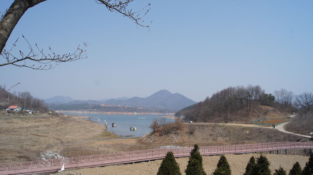 DSC05120.jpg