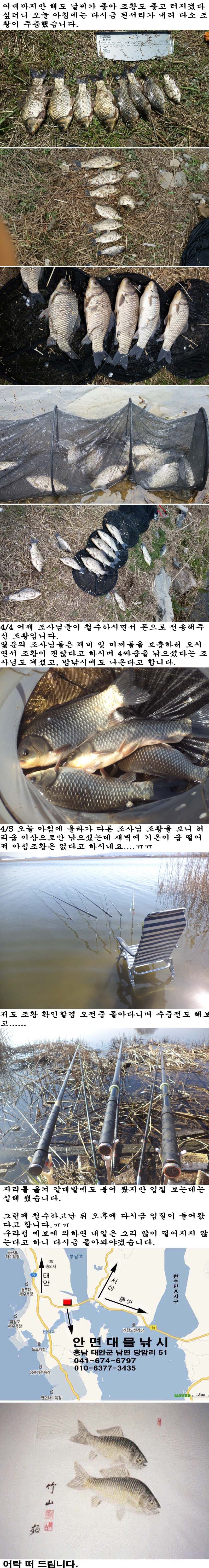 ����-1 ����.jpg