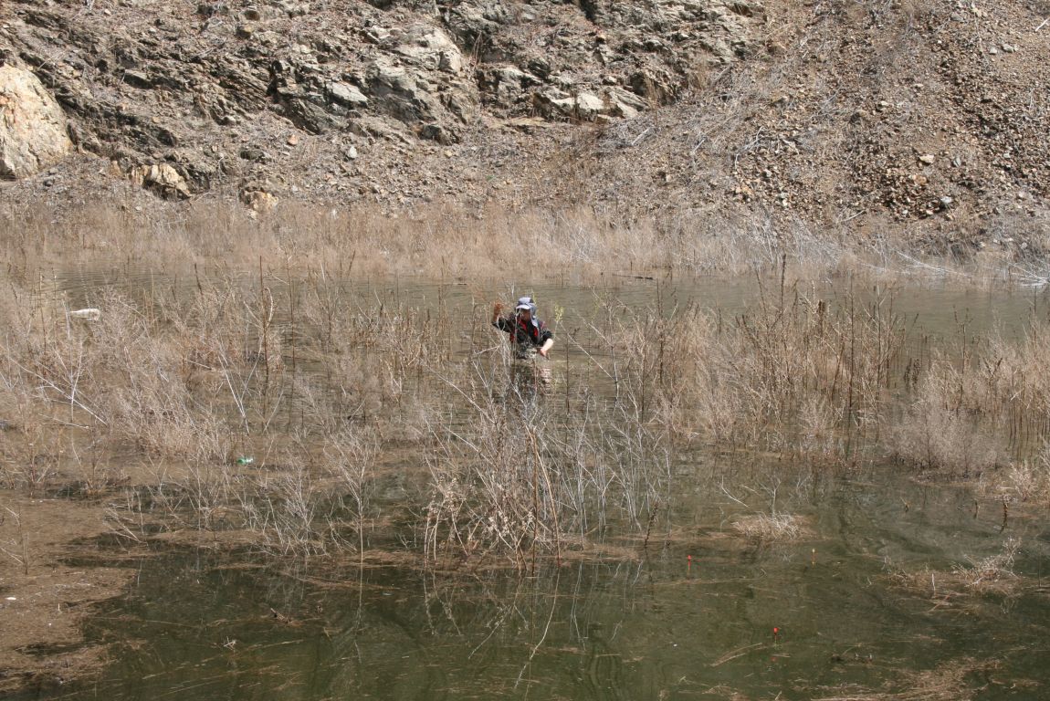 IMG_7429.JPG