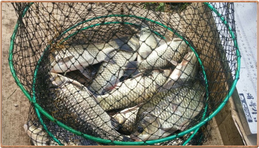 �ٹ̱�_���� 006.jpg