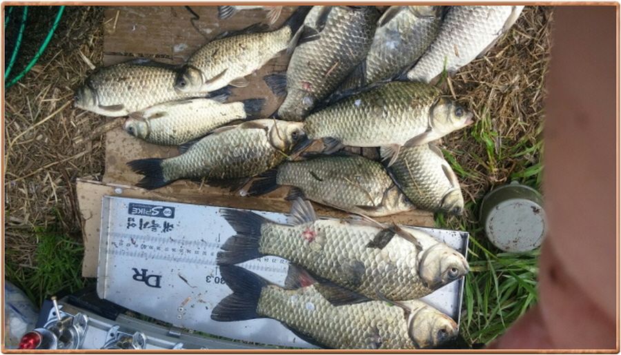 �ٹ̱�_���� 007.jpg