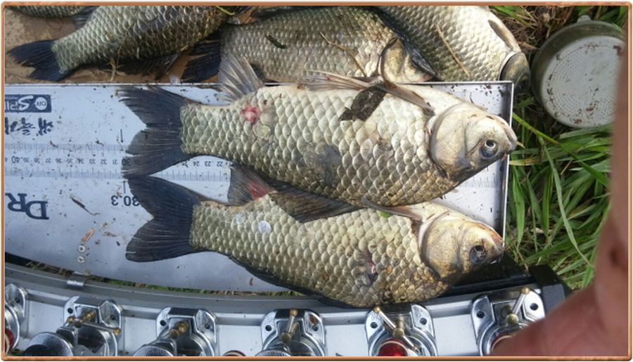 �ٹ̱�_���� 010.jpg