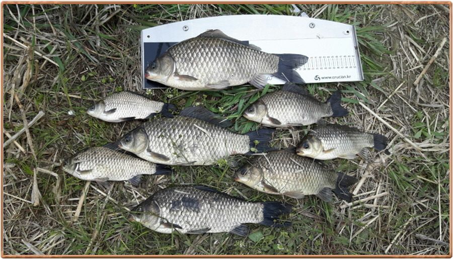 �ٹ̱�_���� 011.jpg