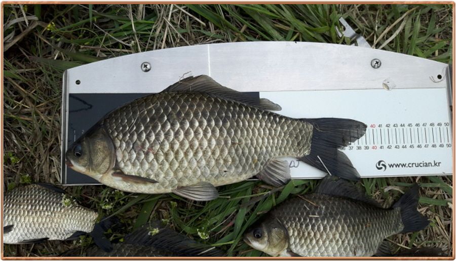 �ٹ̱�_���� 003.jpg