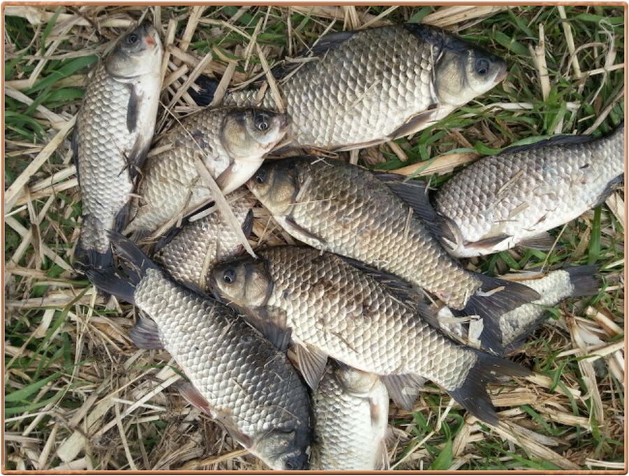 �ٹ̱�_���� 012.jpg