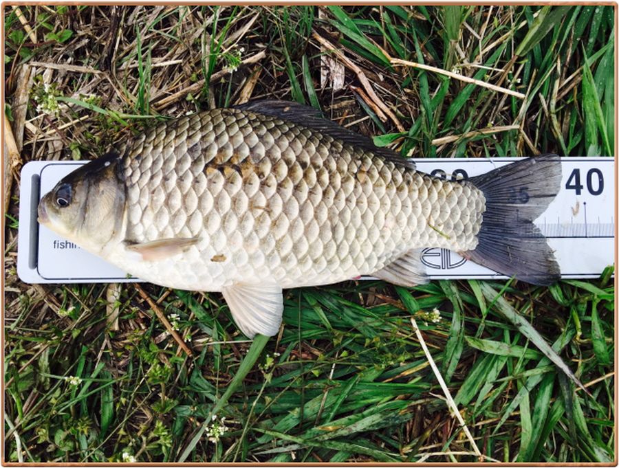 �ٹ̱�_���� 001.jpg