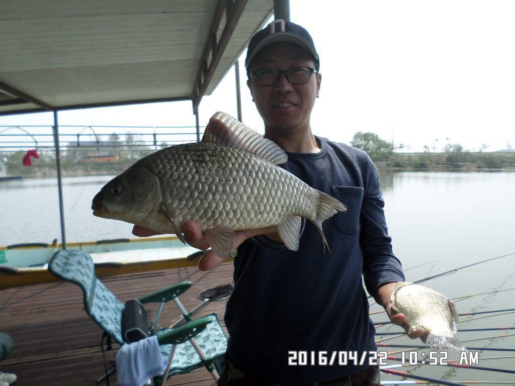 SAM_3520.JPG