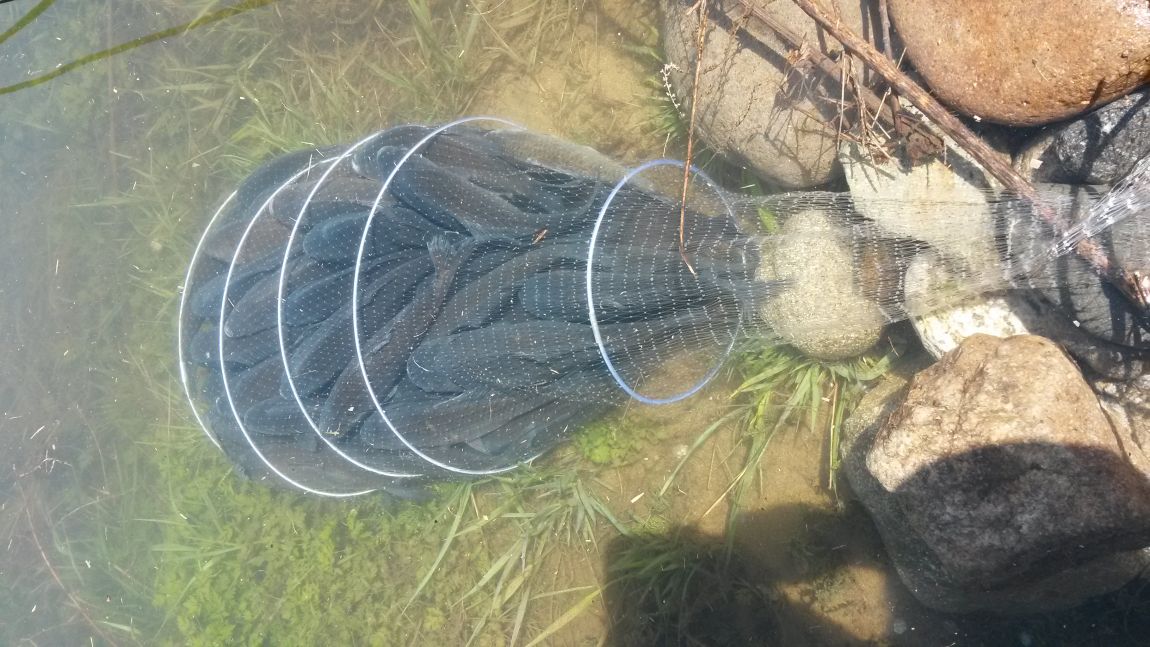 20160424_134510 - ���纻.jpg