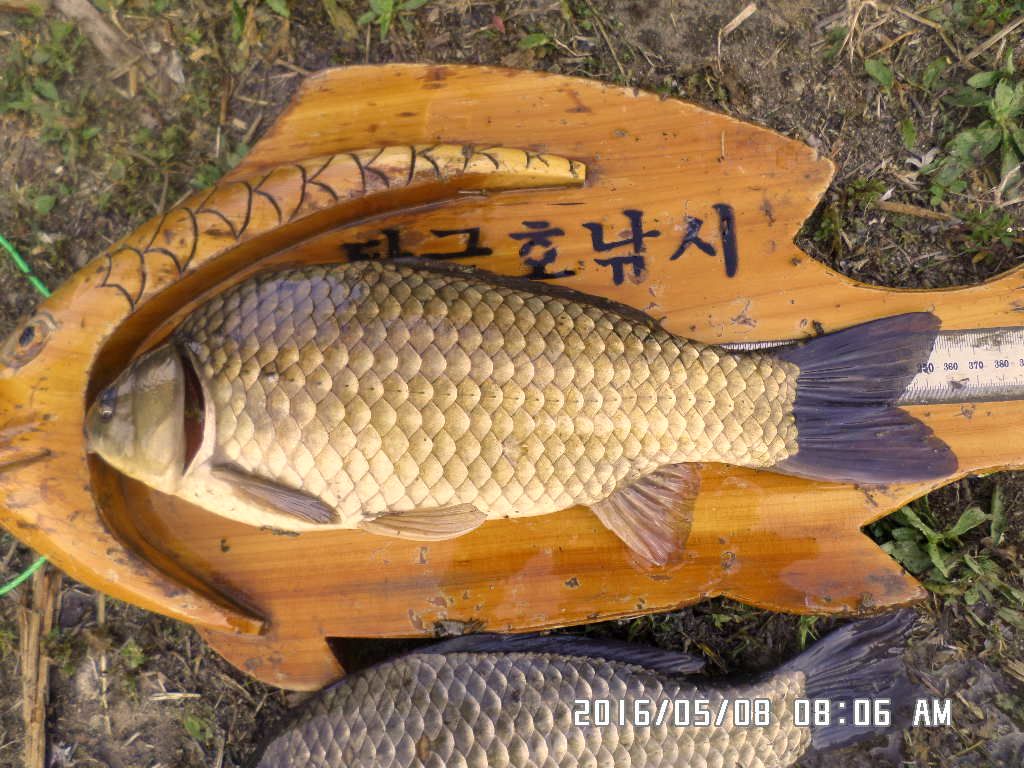 SAM_3828 - ���纻.JPG