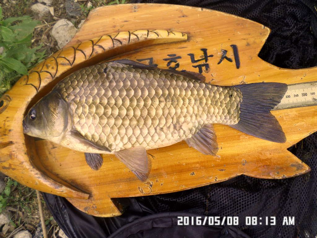 SAM_3832 - ���纻.JPG
