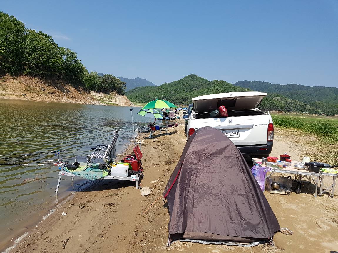 양구낚시 통신원속보 > 파로호 상류 조황입니다... : 낚시사랑