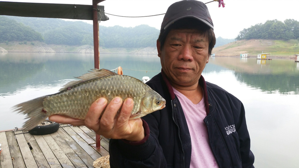 내사리사공 통신원속보 > 문골36.윤낚시.병호낚시와 달천강 월척들 : 낚시사랑