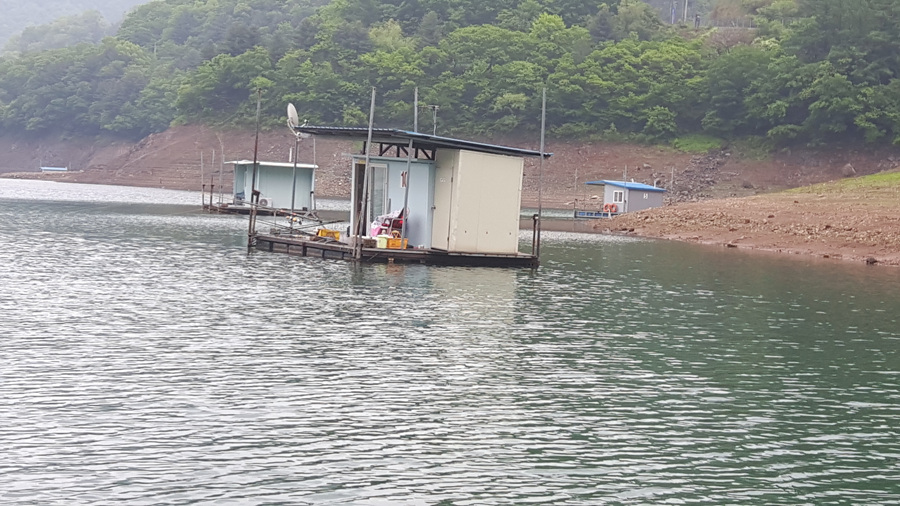 남한강낚시 통신원속보 > 충주호 다시 오름수위 목벌 42cm 대물붕어 조황 ~~~ : 낚시사랑