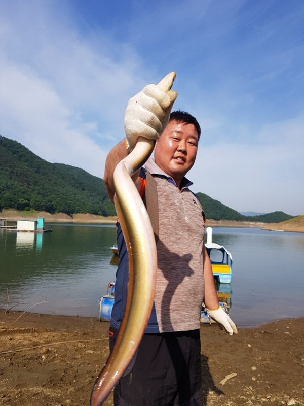 남한강낚시 통신원속보 > 하천, 서운리 솔 붕어조황, 서유석낚시터 장어소식 ... : 낚시사랑