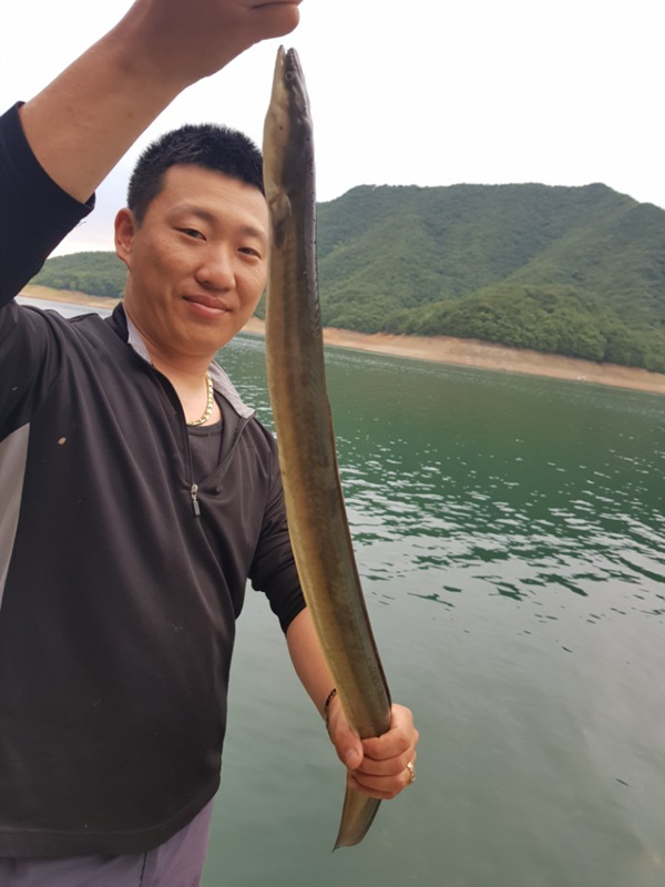남한강낚시 통신원속보 > 목벌낚시터 월척붕어, 서유석 낚시터 키로급장어... : 낚시사랑