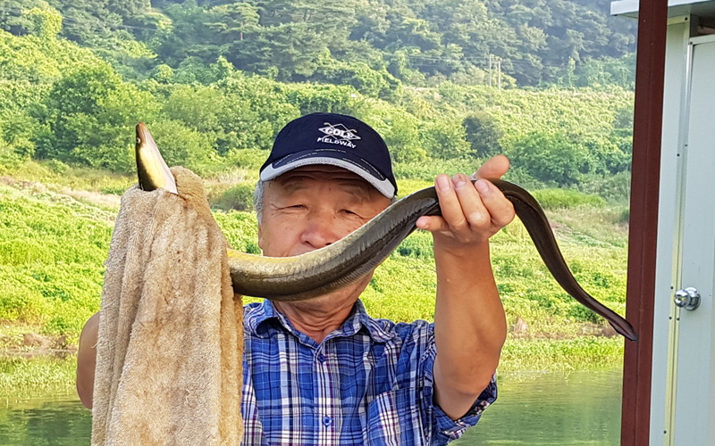 남한강낚시 통신원속보 > 서운리 솔 허리급에 마릿수, 하천 후산리 붕어 장어조황 ~~~ : 낚시사랑