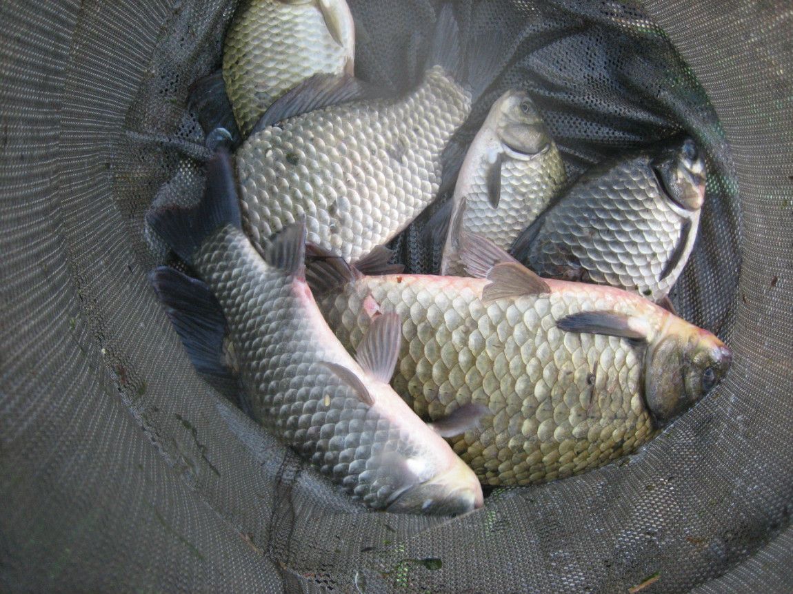 IMG_5698.JPG