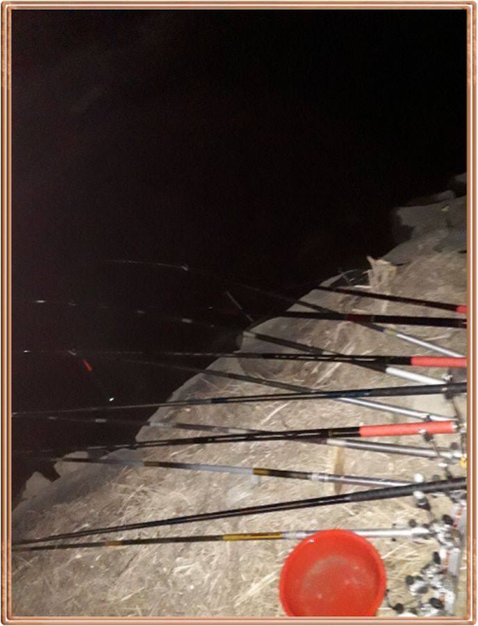 ٹ̱_20200207_222256.jpg