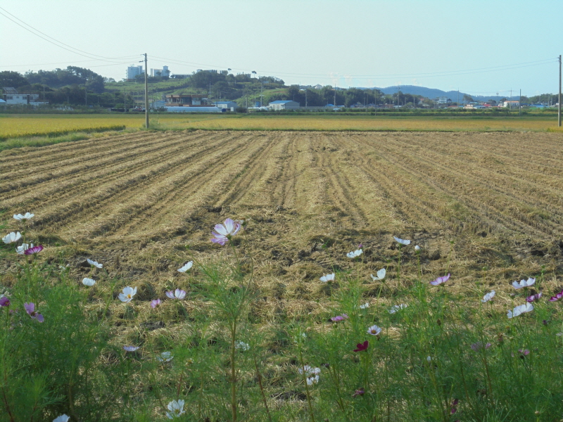 꾸미기_2DSC05357.JPG