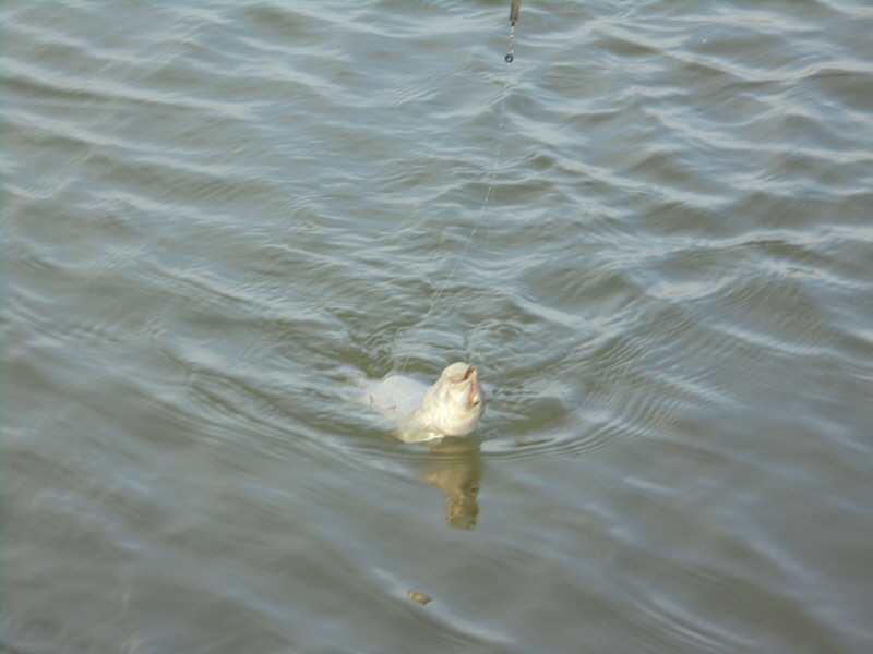꾸미기_2DSC05853.JPG